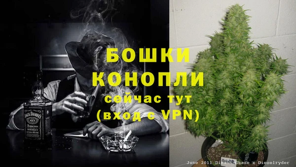 таблы Рославль