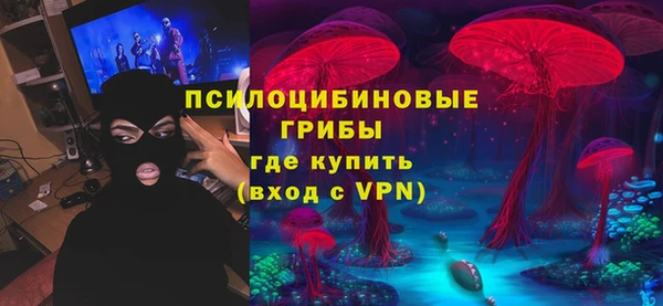 СК Саяногорск