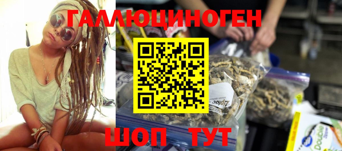 Сертолово  Галлюциногенные грибы GOLDEN TEACHER  Псилоцибиновые грибы мухоморы  Вход с VPN 