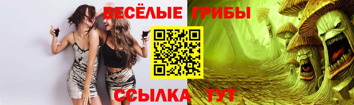 Галлюциногенные грибы MAGIC MUSHROOMS Сертолово
